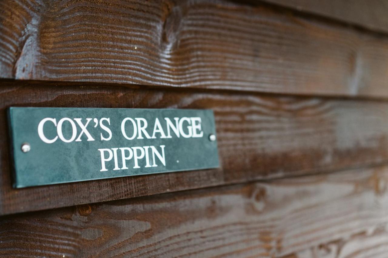 The Apple Rooms - Houghton Lodge Stockbridge  Exteriör bild
